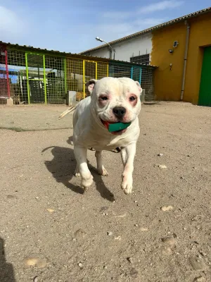 Otra foto de Darko