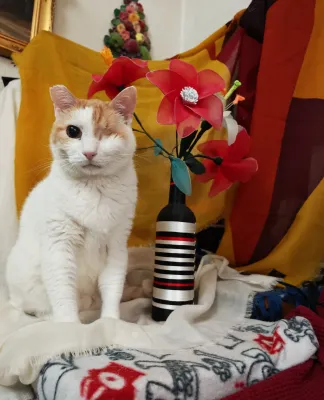 Otra foto de Angelito