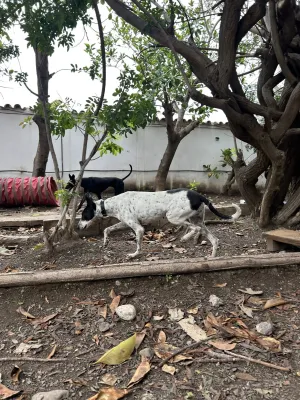 Otra foto de Tindaya