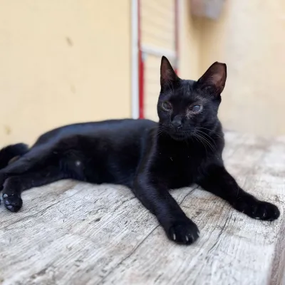 Otra foto de Maya