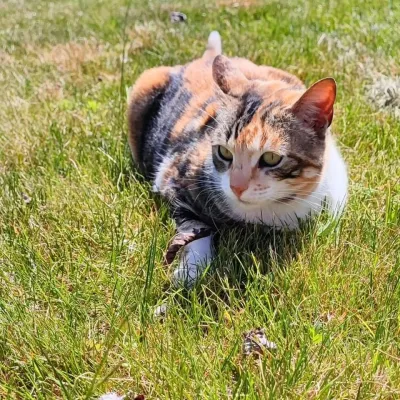 Otra foto de Dora