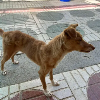 Otra foto de Elva