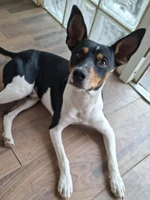 Otra foto de Lolito