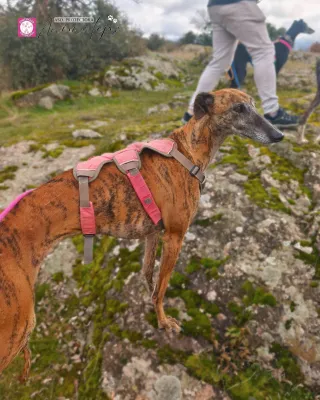 Otra foto de Cora