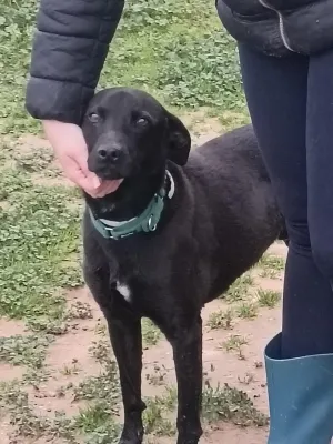Otra foto de Loki