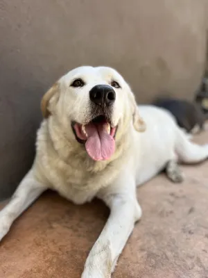 Otra foto de Balam