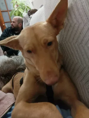 Otra foto de Carol