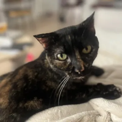 Otra foto de Mia