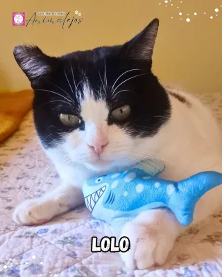 Otra foto de Lolo