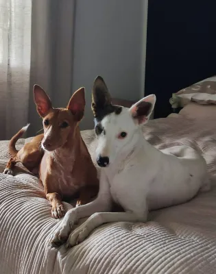 Otra foto de Aiko