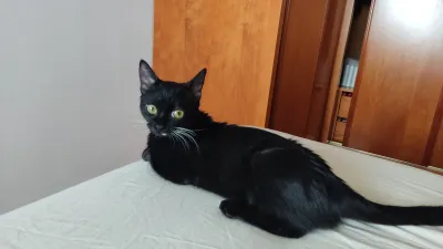 Otra foto de Calíope