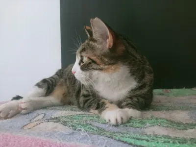 Otra foto de Catalina