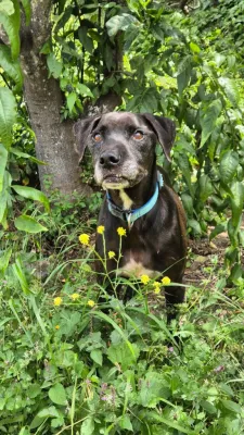 Otra foto de Thor