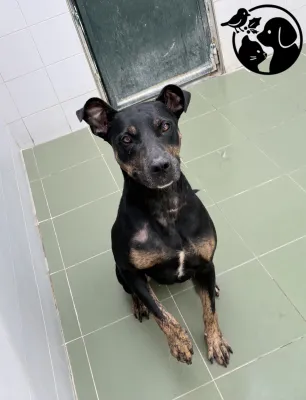 Otra foto de Numa