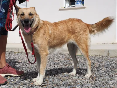Otra foto de Kira