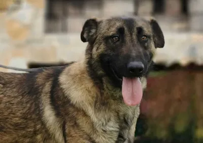 Otra foto de Amato