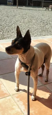 Otra foto de Cuca