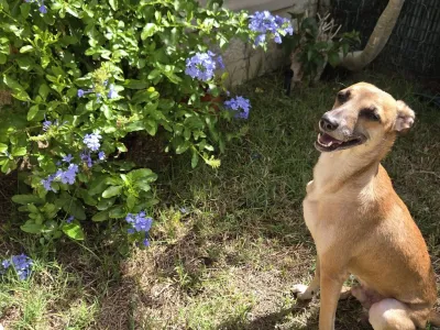 Otra foto de Hugo