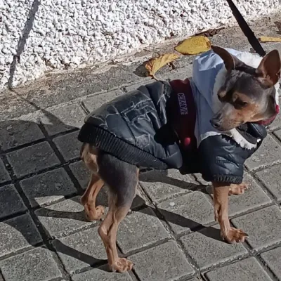 Otra foto de Bruno