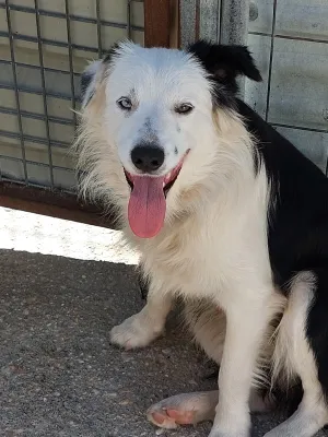 Otra foto de Haru