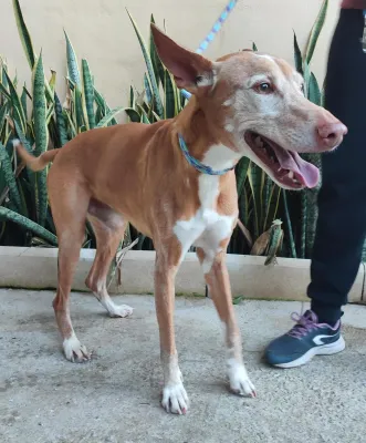 Otra foto de Angel