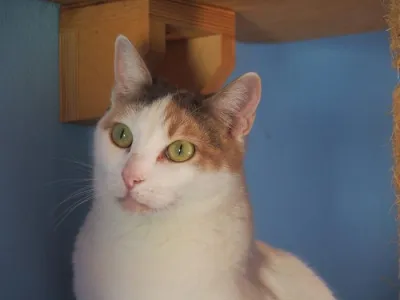 Otra foto de Dina