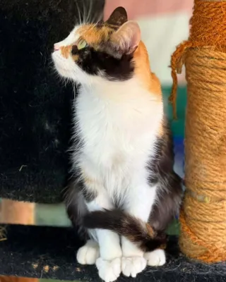 Otra foto de Celeste