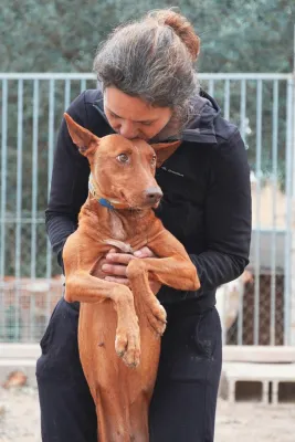 Otra foto de Biel