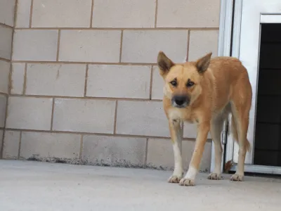 Otra foto de Kira