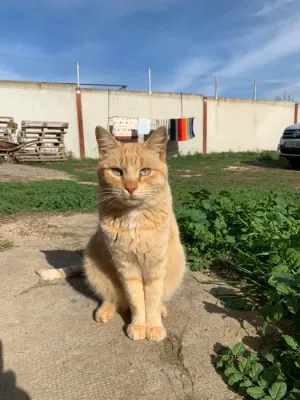 Otra foto de Lanzarote (Rubio)