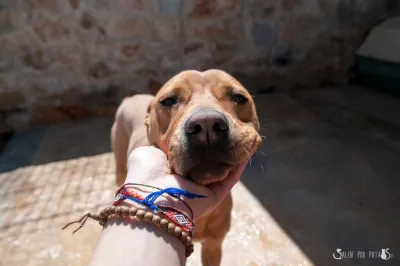 Otra foto de Sky