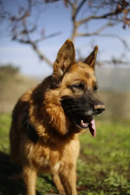 Otra foto de Blanca
