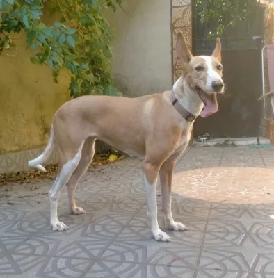 Otra foto de Duna