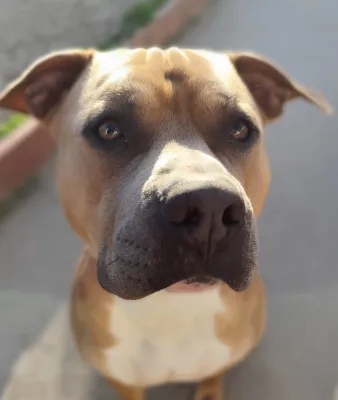 Otra foto de Zeus
