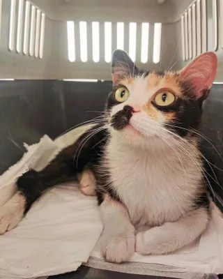 Otra foto de Celeste