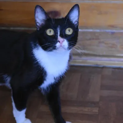 Otra foto de Nursia