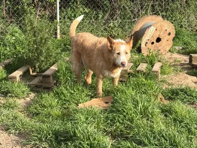 Hera, foto 2 de 3