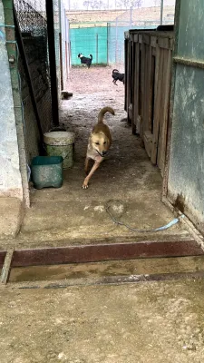 Otra foto de Sadiq