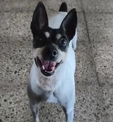 Otra foto de Cuca