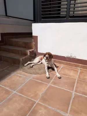 Otra foto de Lolo