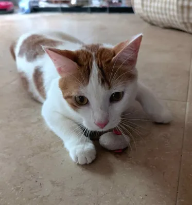 Otra foto de Luchi