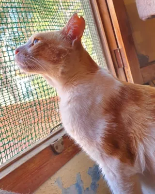 Otra foto de Danet