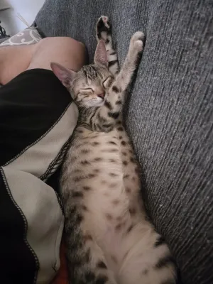 Burbuja, foto 4 de 6