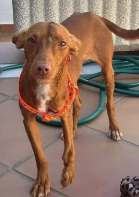 Otra foto de Lía