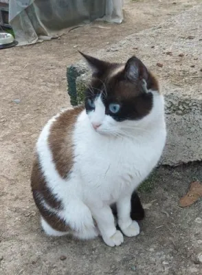 Otra foto de Mini