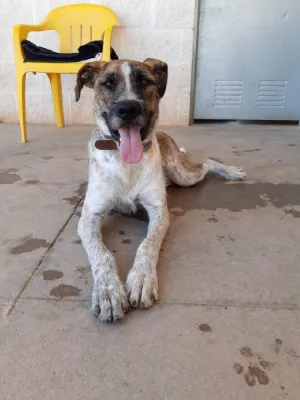 Otra foto de Ícaro