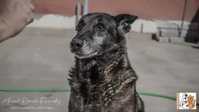 Otra foto de Mali