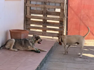 Otra foto de Aron