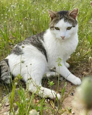 Otra foto de Julieta