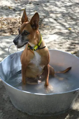 Otra foto de Chencho